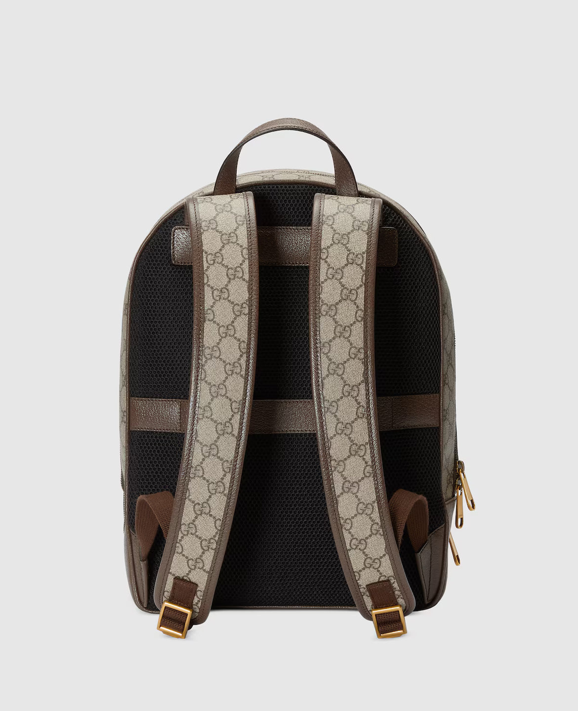 Sac à dos Ophidia moyen format