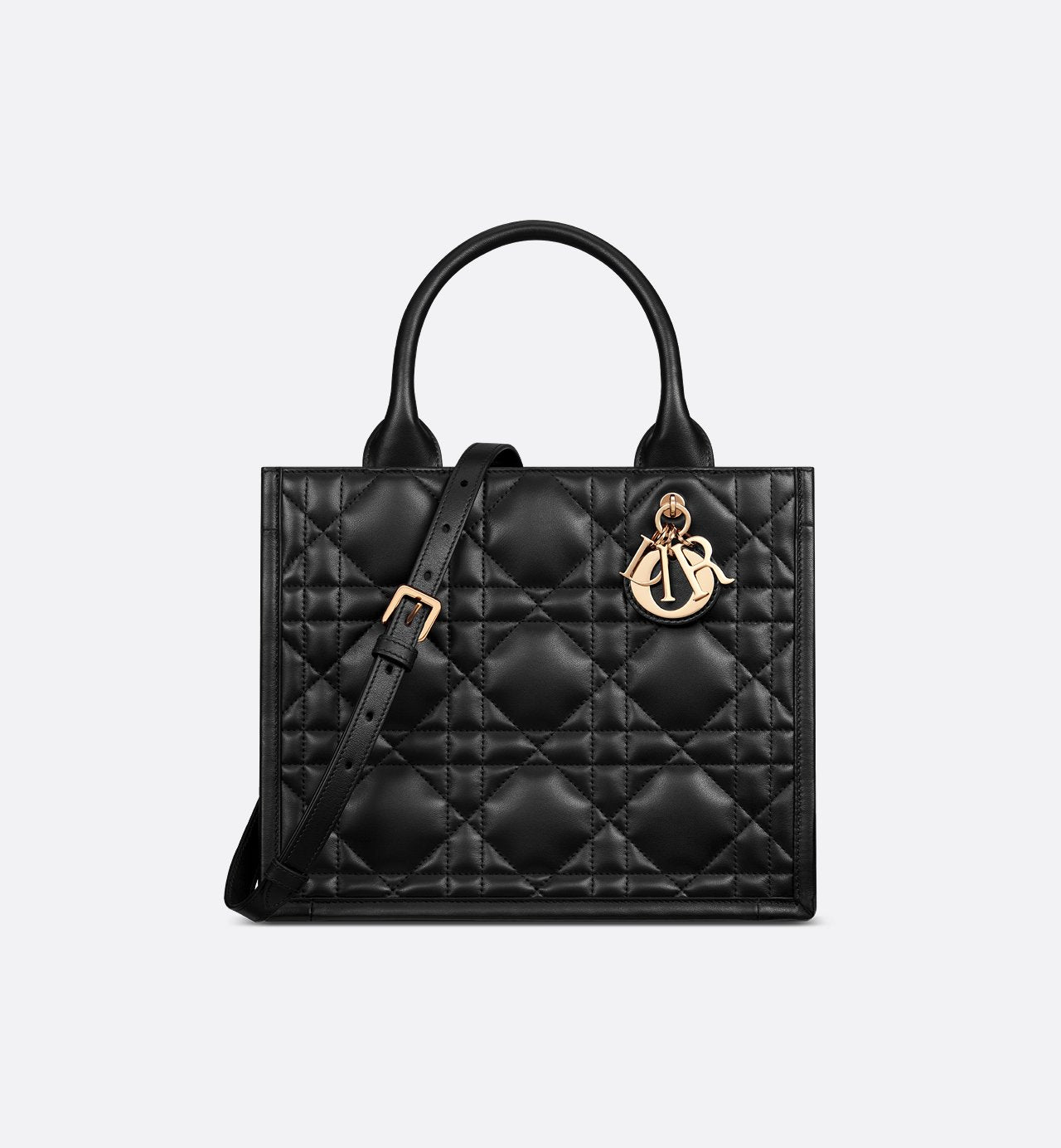 Sac Dior Book Tote Small