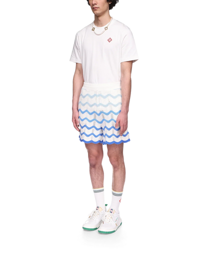 Wavy Gradient Crochet Shorts